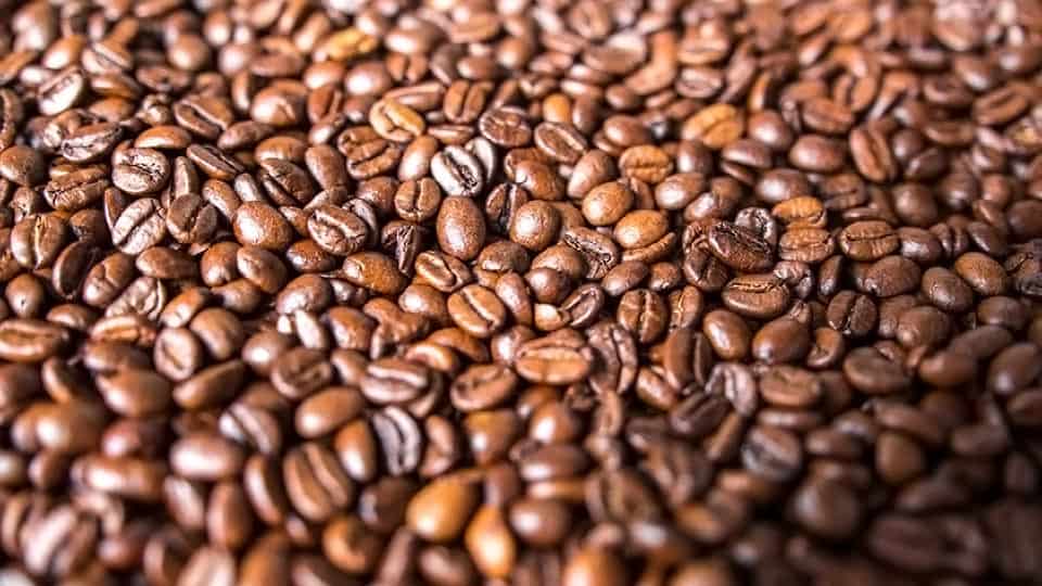 ¿Cuál es la mejor marca de café en grano para comprar?