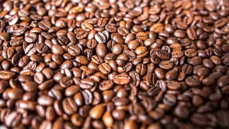 cafe grano comprar
